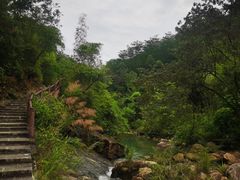 -广州白江湖森林公园