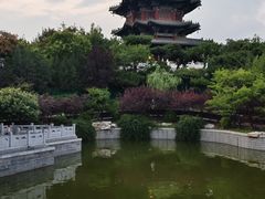 -迎泽公园