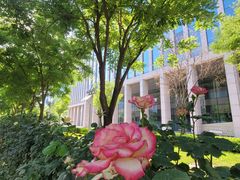 -鑫嘉汇购物中心