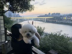 -夜宴江景餐厅