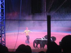 -环球城国际大马戏