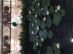 -福慧慈缘素食餐厅(王府井店)