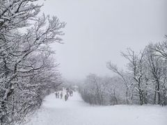 -湖州龙王山景区