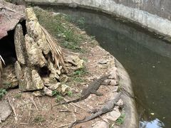 -野象谷景区