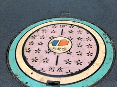 -西北湖绿化广场