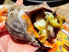 -日进一片海.生腌海鲜火锅.宵夜烧烤(三里屯总店)