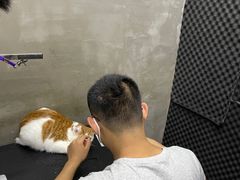 -PETKIT小佩宠物·低压洗护(国顺东路店)