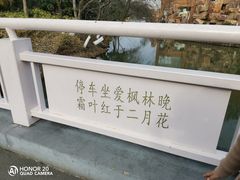 -青枫公园