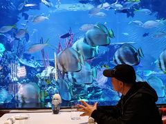 -迪拜帆船酒店海底餐厅