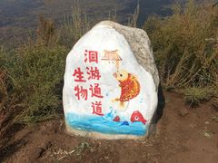 -黄沙古渡原生态旅游区