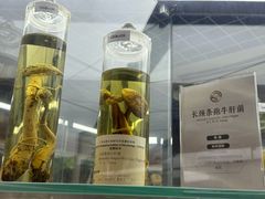 -广州神农草堂中医药博物馆