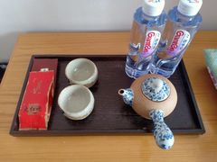 -大连大和馆观山阁温泉酒店