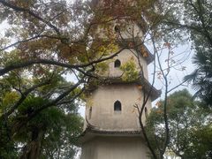 -江心屿景区