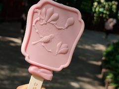 -广州长隆野生动物世界