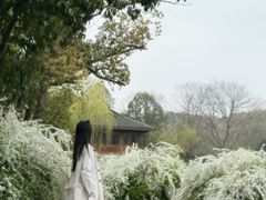 -中国茶叶博物馆(双峰馆区)