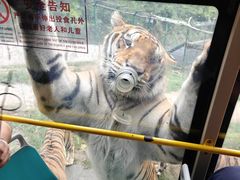 -栾川竹海野生动物园