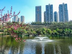 -重庆彩云湖湿地公园