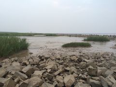 南汇嘴观海公园-南汇嘴观海公园