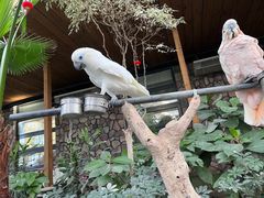 -南宫五洲植物乐园