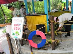 -南宫温泉水世界