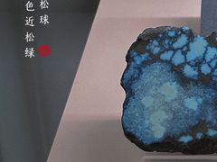 -中国地质博物馆