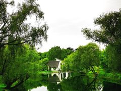 -上海共青森林公园