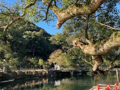 -上坦村