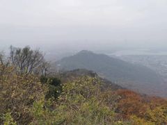 -紫金山山顶公园