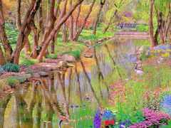 -上海共青森林公园