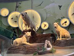 -陕西自然博物馆