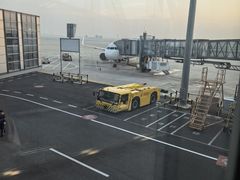 -青岛胶东国际机场