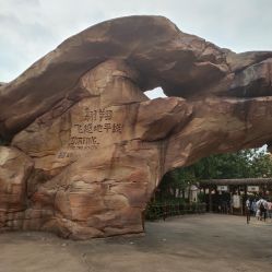 -翱翔飞越地平线