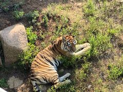 -西霞口神雕山野生动物世界