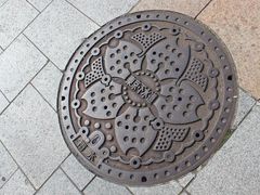 -台场海滨公园船码头