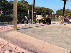 -苏州太湖西山岛开心农场
