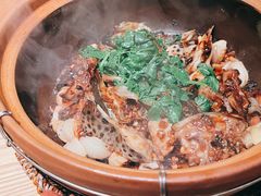-人间酒暖·Go blanc·烧鸟·深夜食堂(陆家嘴店)