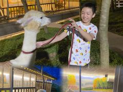 -云栖山谷露营地·团建年会·生日派对