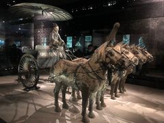 -秦始皇帝陵博物院(兵马俑)