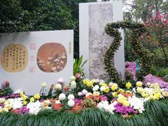 -杭州植物园
