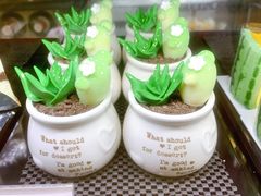-85度C(厦门台湾街店)