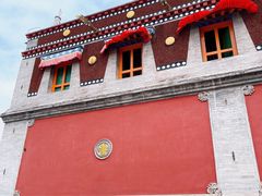 -塔尔寺菩提树