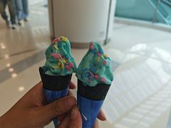 -小大董·烤鸭(王府井apm店)