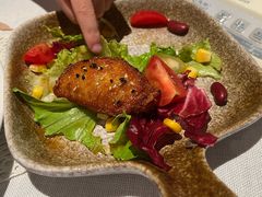 -一棵树·意大利西餐厅One Tree(新城店)