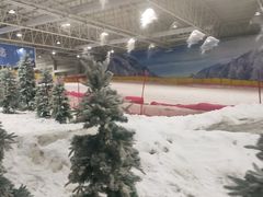 -赤马湖体育滑雪
