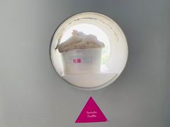 -米开朗冰淇淋博物馆