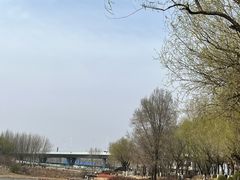 -丁香湖公园