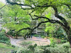 -香港大学