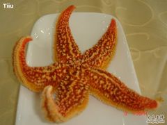 海星-海岛渔村大酒店(云霄路店)