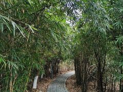 -厦门园林博览苑