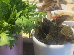 -悦鼎汇海鲜姿造